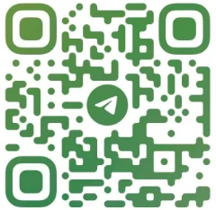 Telegram: +86 15019608252